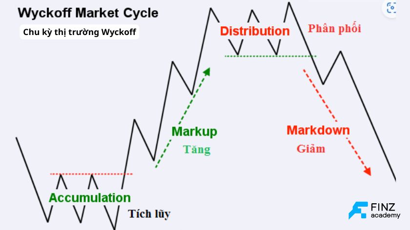 Chu kỳ Wyckoff là gì