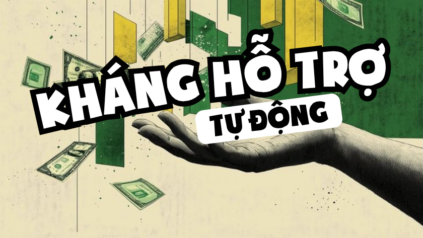 Kháng cự hỗ trợ động là gì? Khi nào nên tin vào đường MA và EMA?