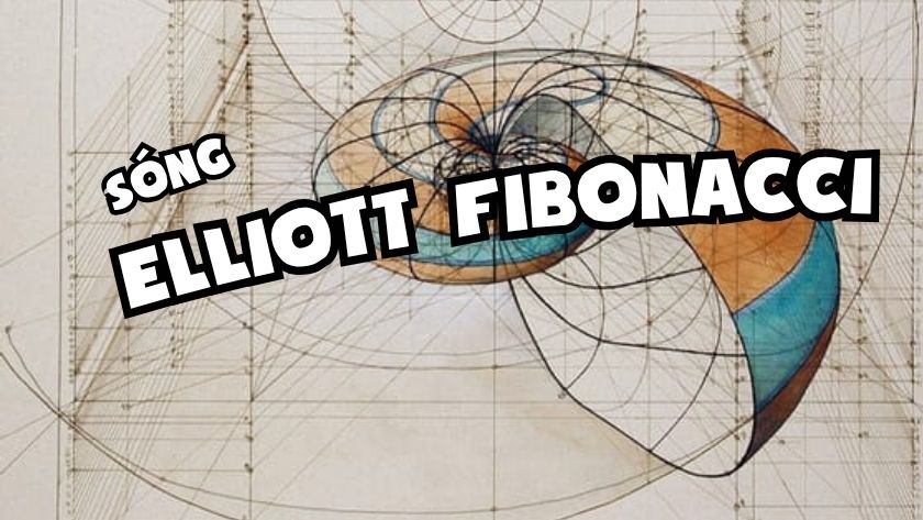 sóng eliot và fibonacci