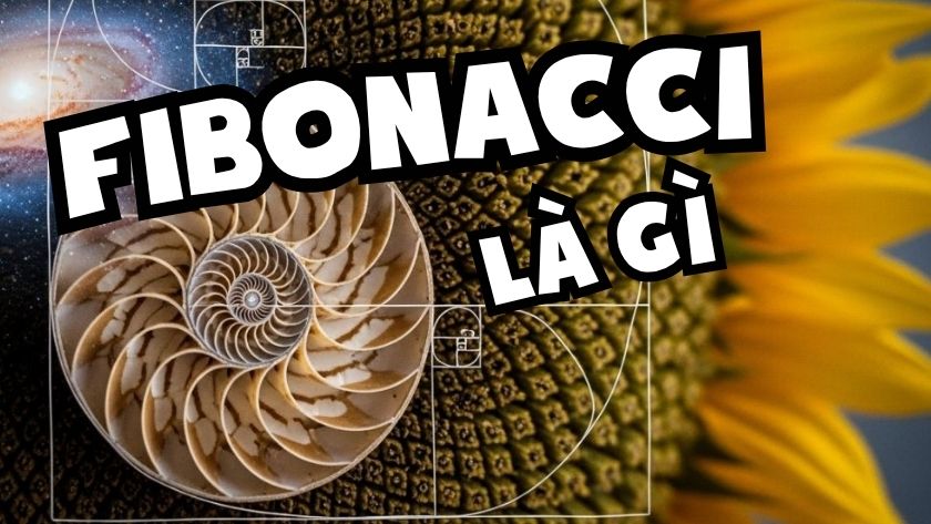 Fibonacci là gì