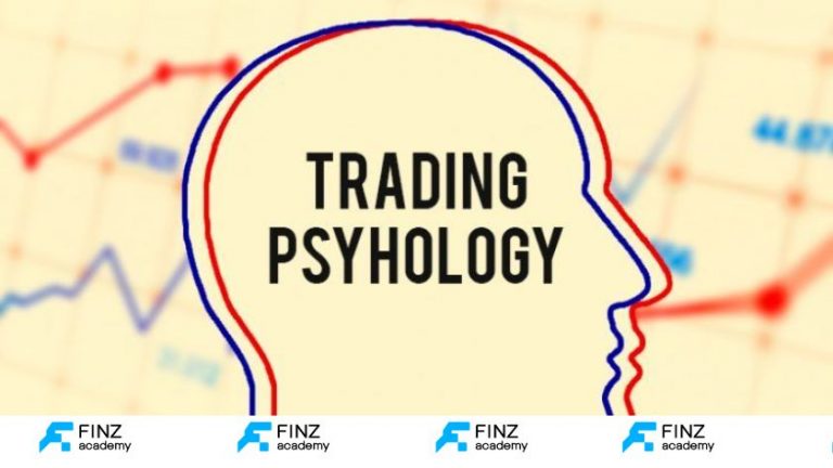 Lộ trình học Trader 3 giai đoạn: Từ Stochastic đến kiểm soát tâm lý